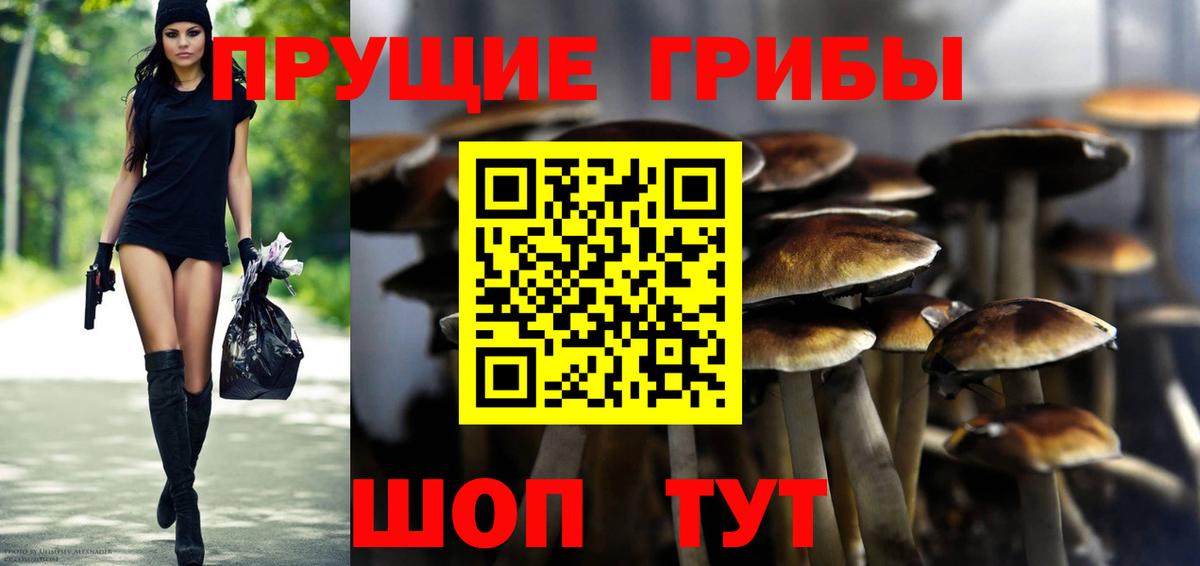Ессентуки  Галлюциногенные грибы Magic Shrooms  Вход с VPN  Галлюциногенные грибы Psilocybine cubensis 