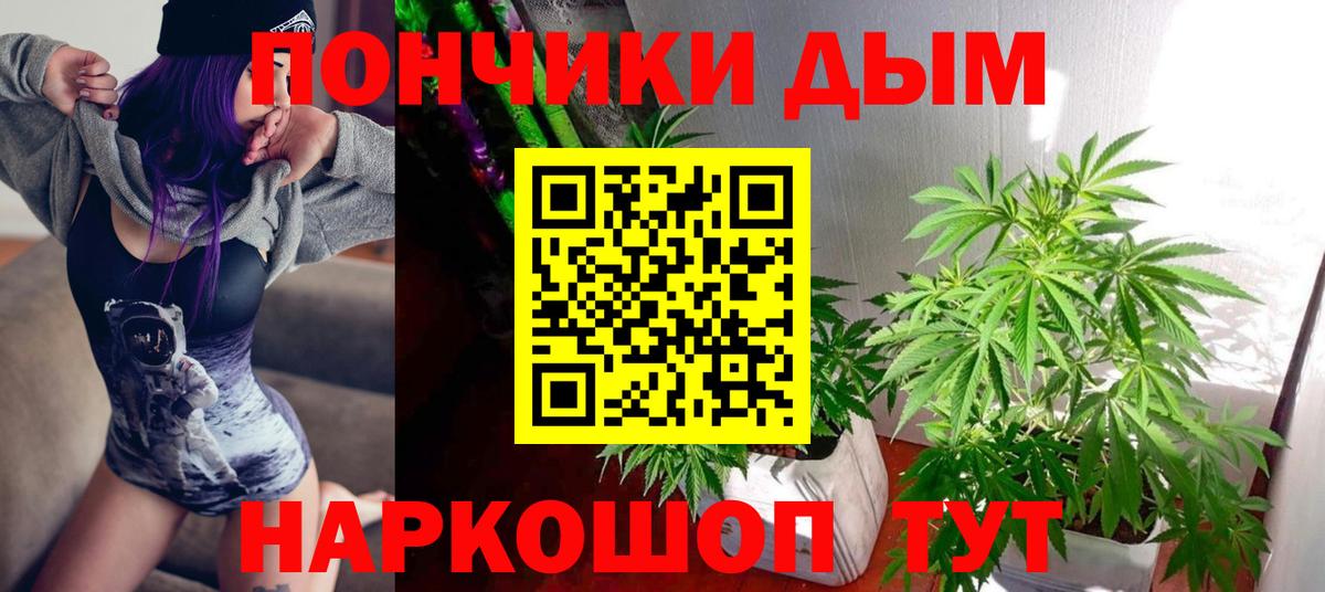 Ессентуки  Бошки марихуана тримм  Вход с VPN  Каннабис Amnesia 